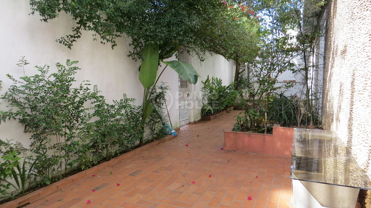 Casa à venda Planalto Paulista 3 dormitórios, 2 vagas, isolada, próxima à Moema 