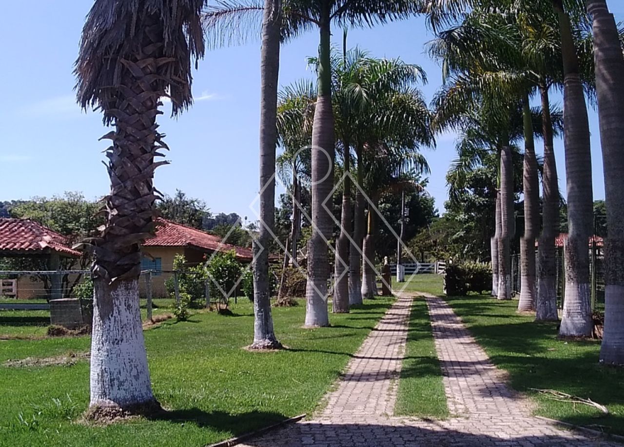 Sítio, 6 quartos, 22 hectares - Foto 4
