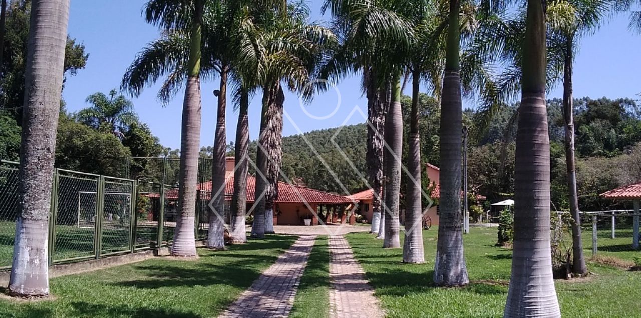 Sítio, 6 quartos, 22 hectares - Foto 6