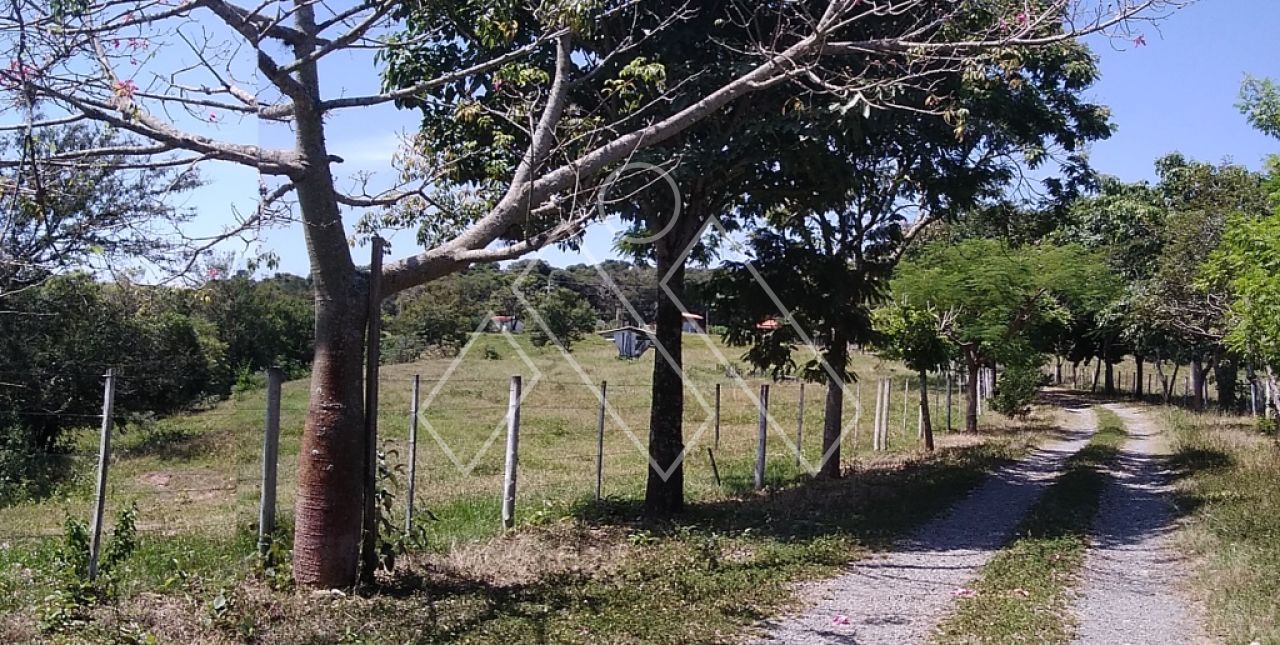 Sítio, 6 quartos, 22 hectares - Foto 14