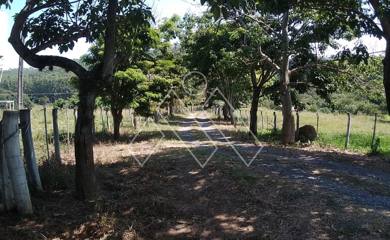 Sítio, 6 quartos, 22 hectares - Foto 15