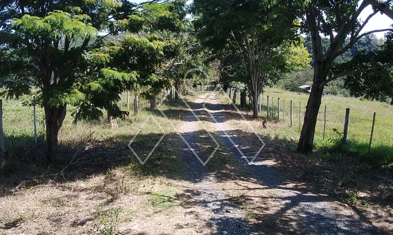 Sítio, 6 quartos, 22 hectares - Foto 16