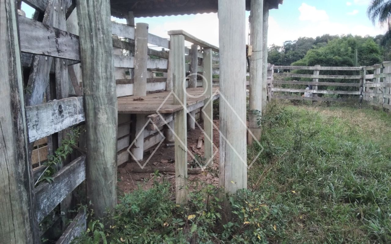 Sítio, 6 quartos, 22 hectares - Foto 19