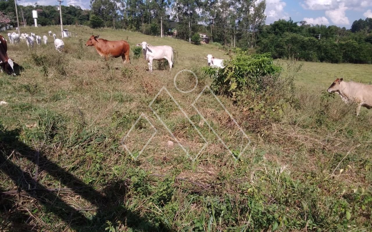 Sítio, 6 quartos, 22 hectares - Foto 20