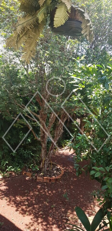 Casa de Vila, 3 quartos - Foto 24