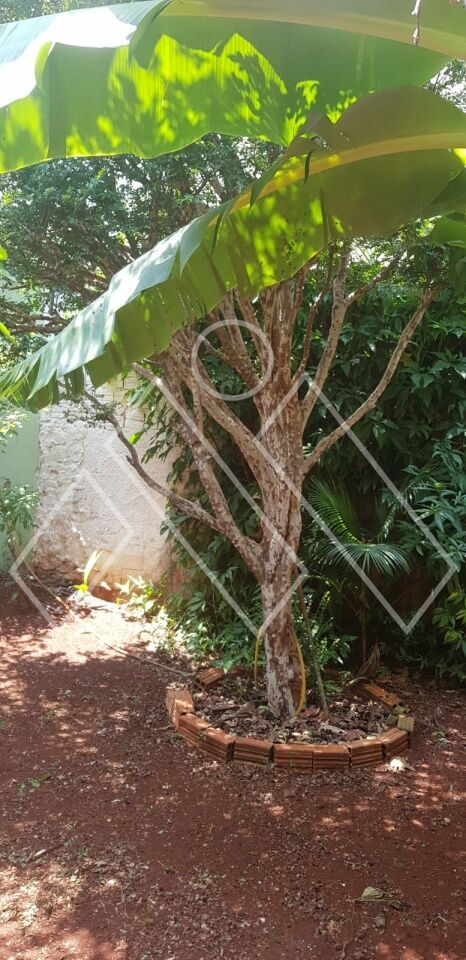 Casa de Vila, 3 quartos - Foto 25