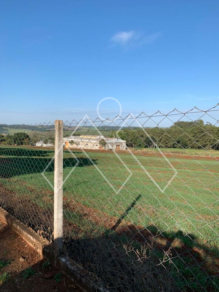 Chácara, 4 quartos, 4 hectares - Foto 24