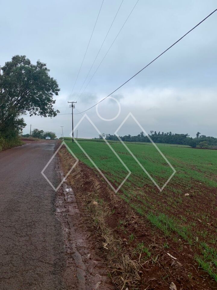 Chácara, 4 quartos, 4 hectares - Foto 2