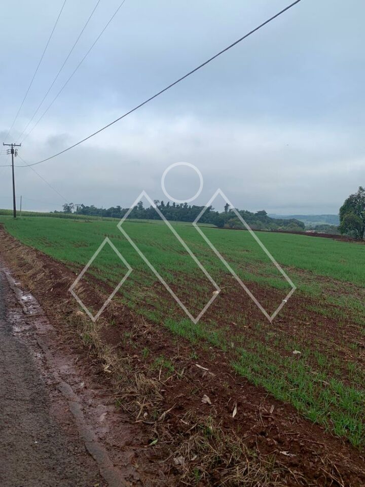 Chácara, 4 quartos, 4 hectares - Foto 15