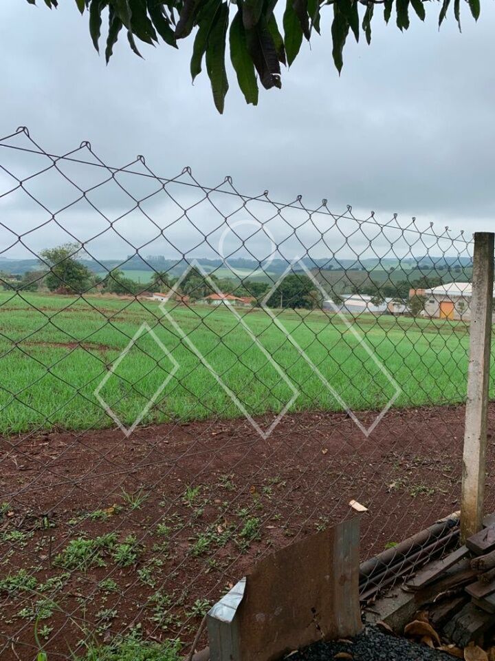 Chácara, 4 quartos, 4 hectares - Foto 22