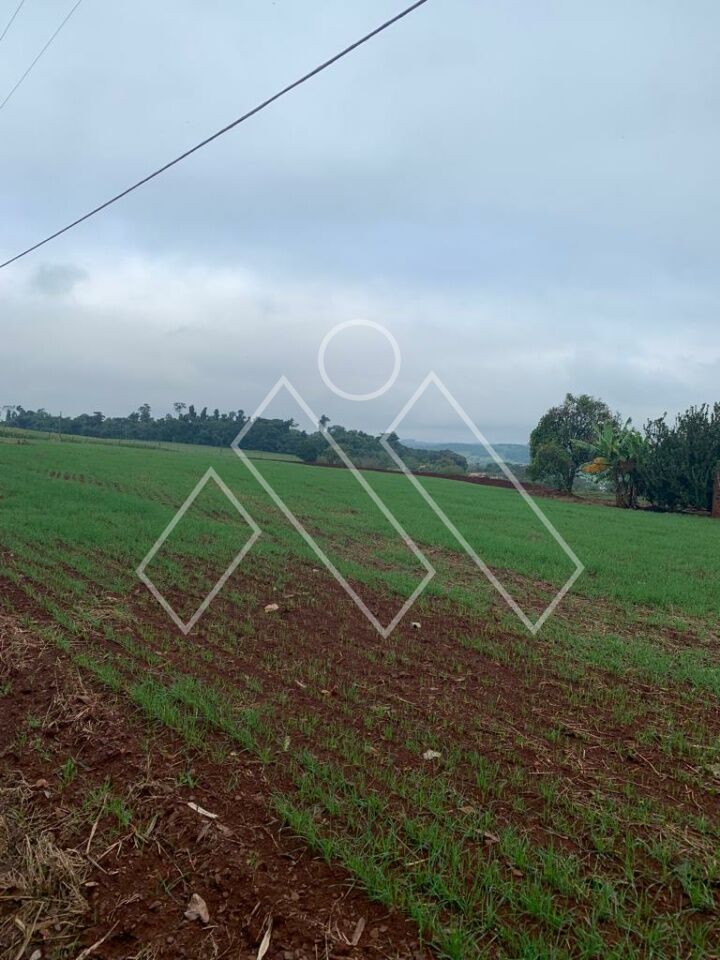 Chácara, 4 quartos, 4 hectares - Foto 17