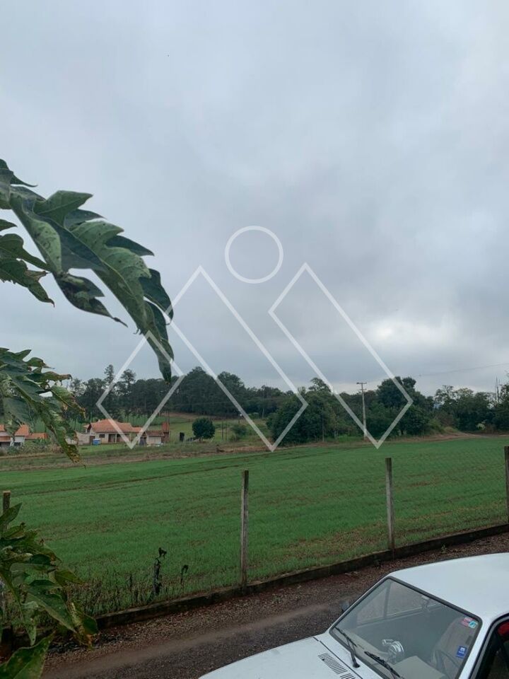 Chácara, 4 quartos, 4 hectares - Foto 16