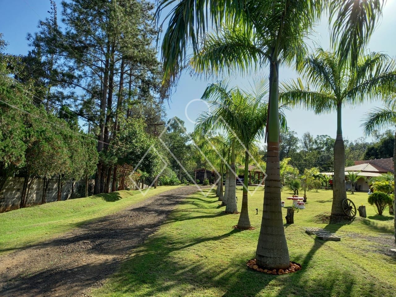 Chácara, 3 quartos, 2 hectares - Foto 24