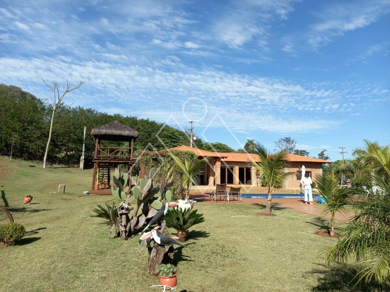 Chácara, 3 quartos, 2 hectares - Foto 7