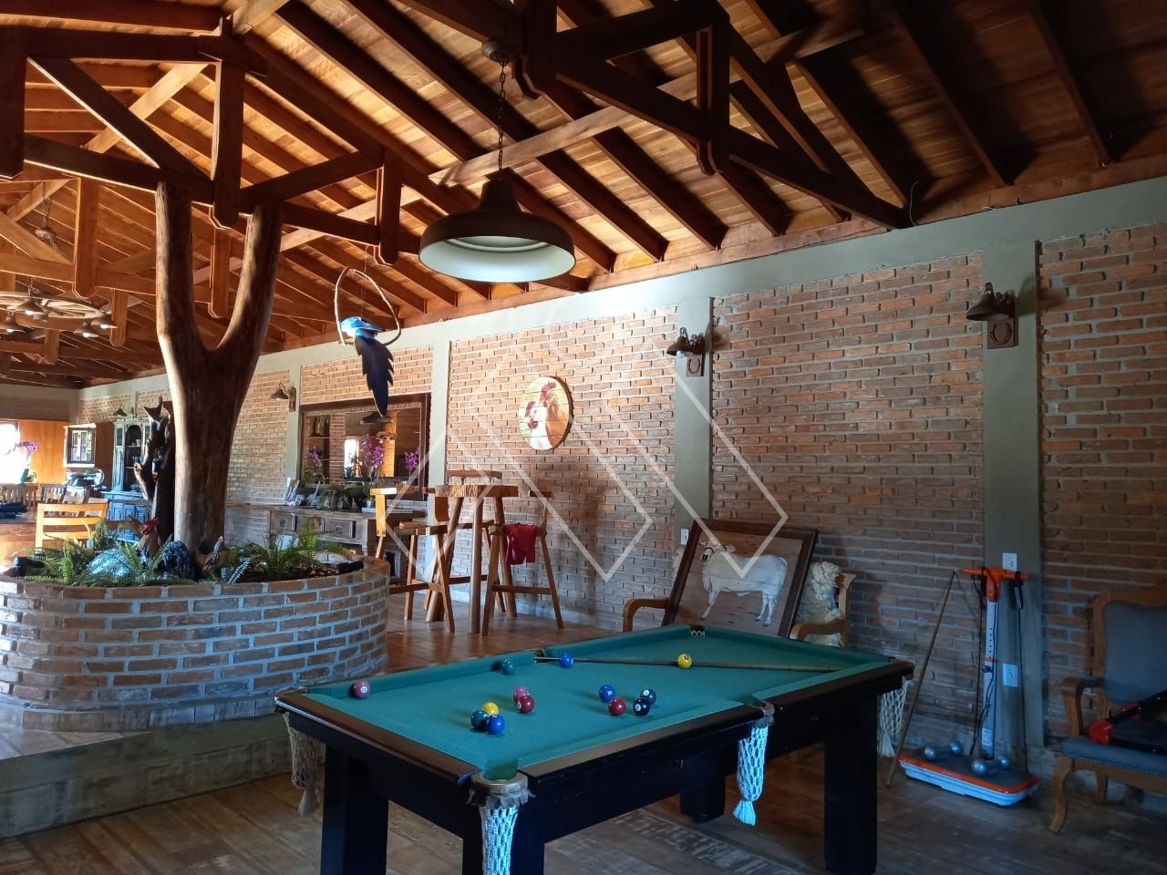 Chácara, 3 quartos, 2 hectares - Foto 13