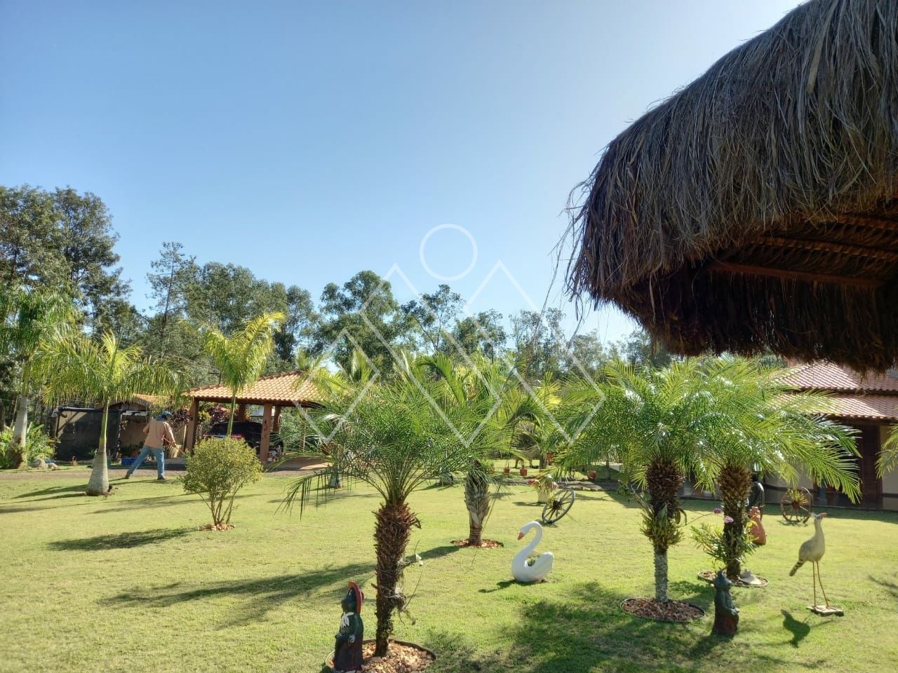 Chácara, 3 quartos, 2 hectares - Foto 19
