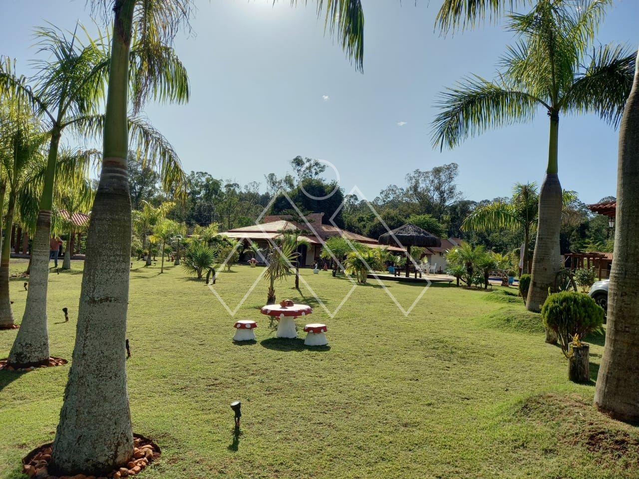 Chácara, 3 quartos, 2 hectares - Foto 20