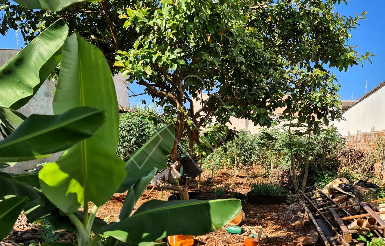 Terreno, 251 m² - Foto 2