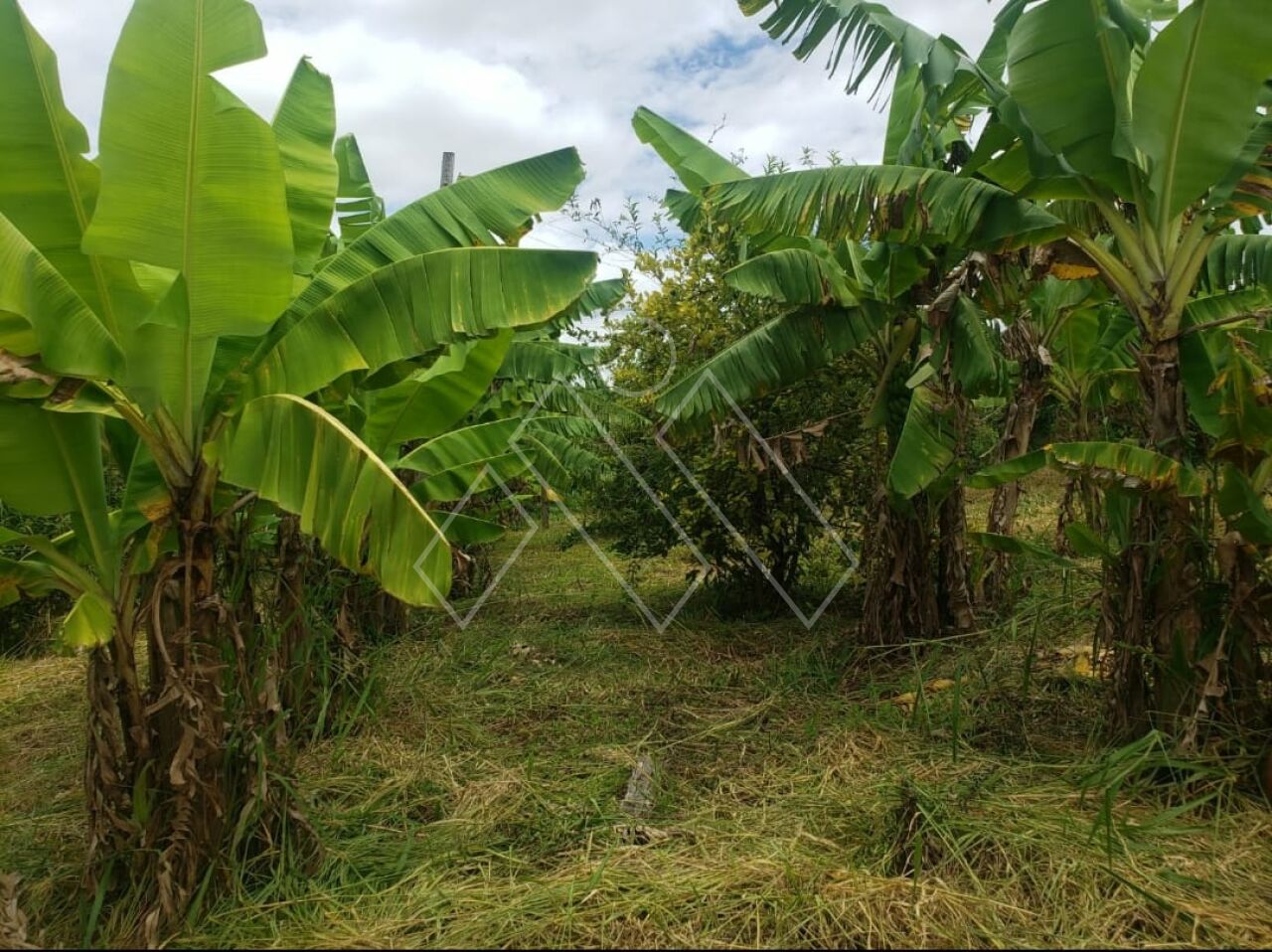 Chácara à venda com 3 quartos, 24200 - Foto 2