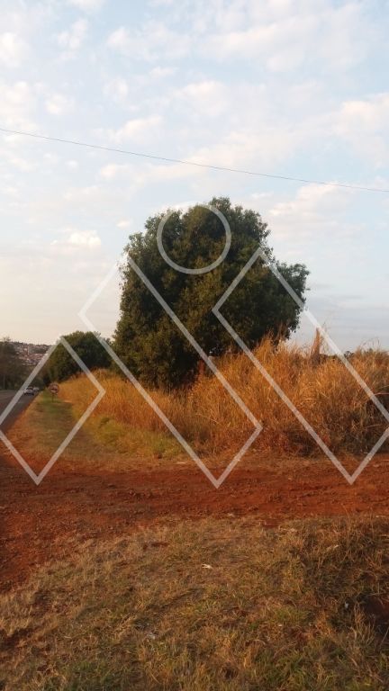 Terreno, 4 hectares - Foto 2