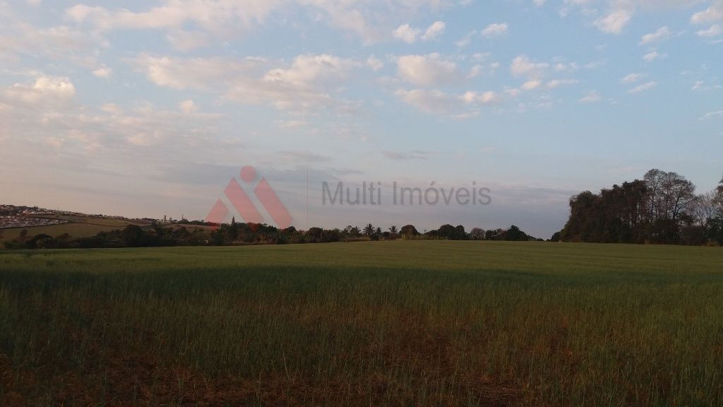 Terreno, 4 hectares - Foto 3