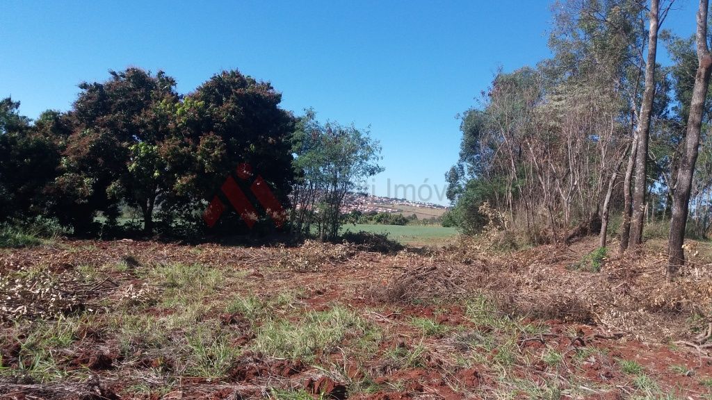 Terreno, 4 hectares - Foto 4