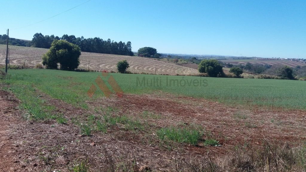 Terreno, 4 hectares - Foto 6