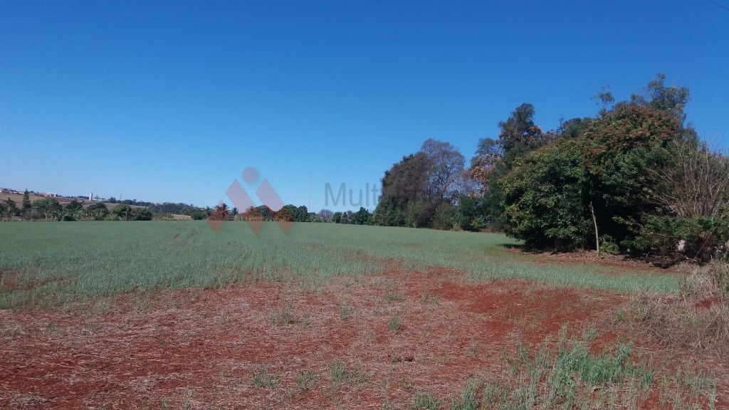 Terreno, 4 hectares - Foto 7