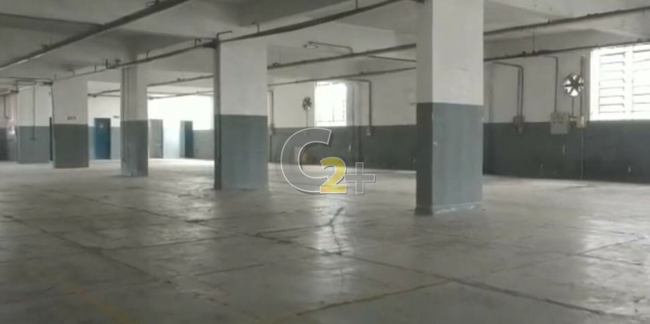 Foto 2 - CC14566