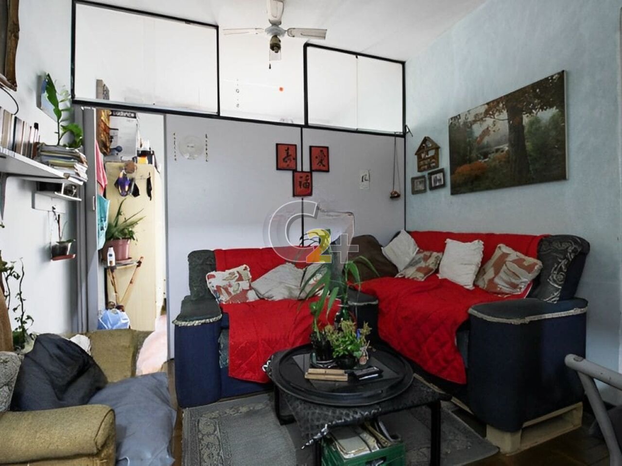 Foto 2 - CC23343