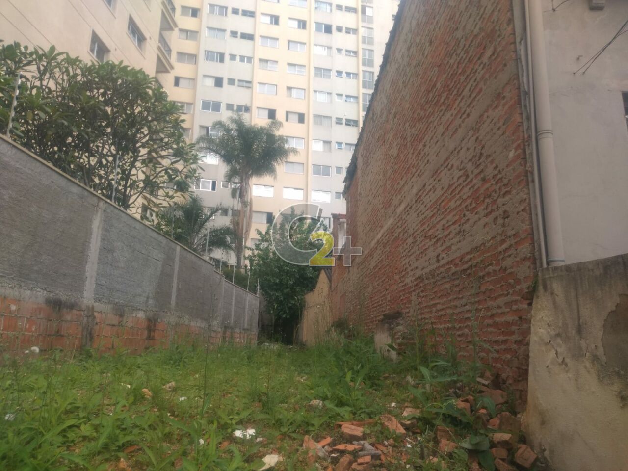 Foto 3 - CC25562