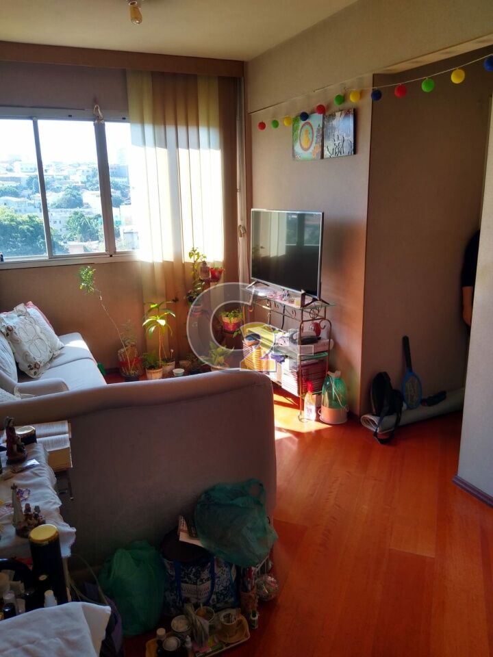 Foto 2 - CC29901