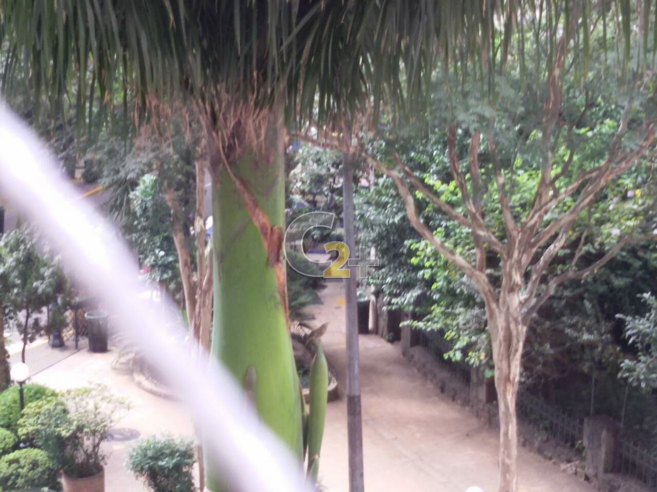Foto 5 - CC32245