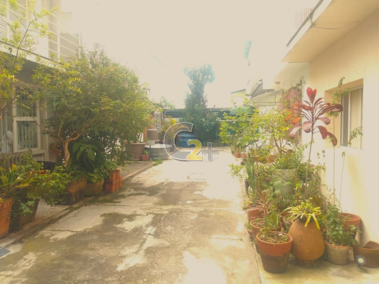 Foto 2 - CC32983
