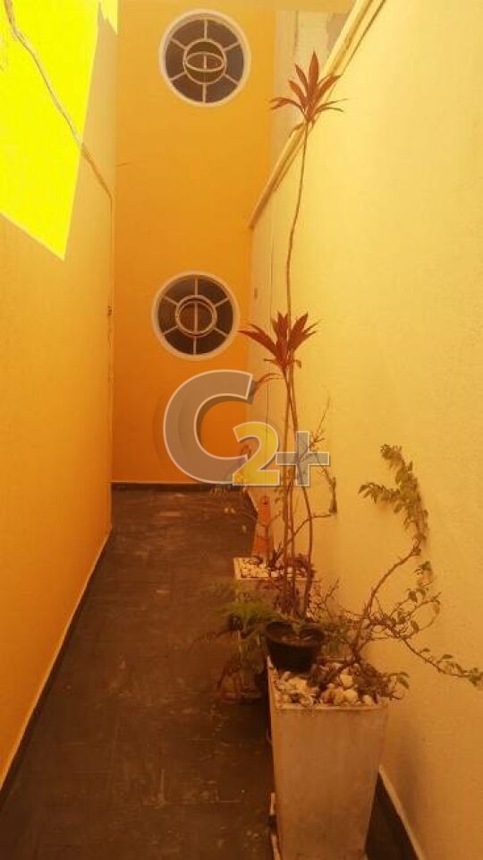 Foto 15 - CC36043