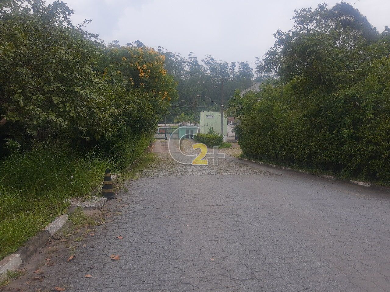 Foto 5 - CC37249