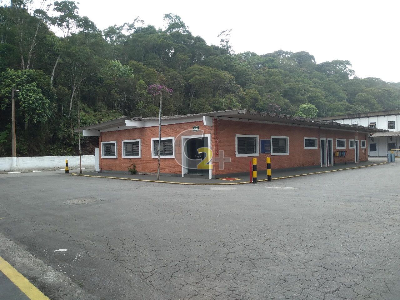 Foto 4 - CC37249