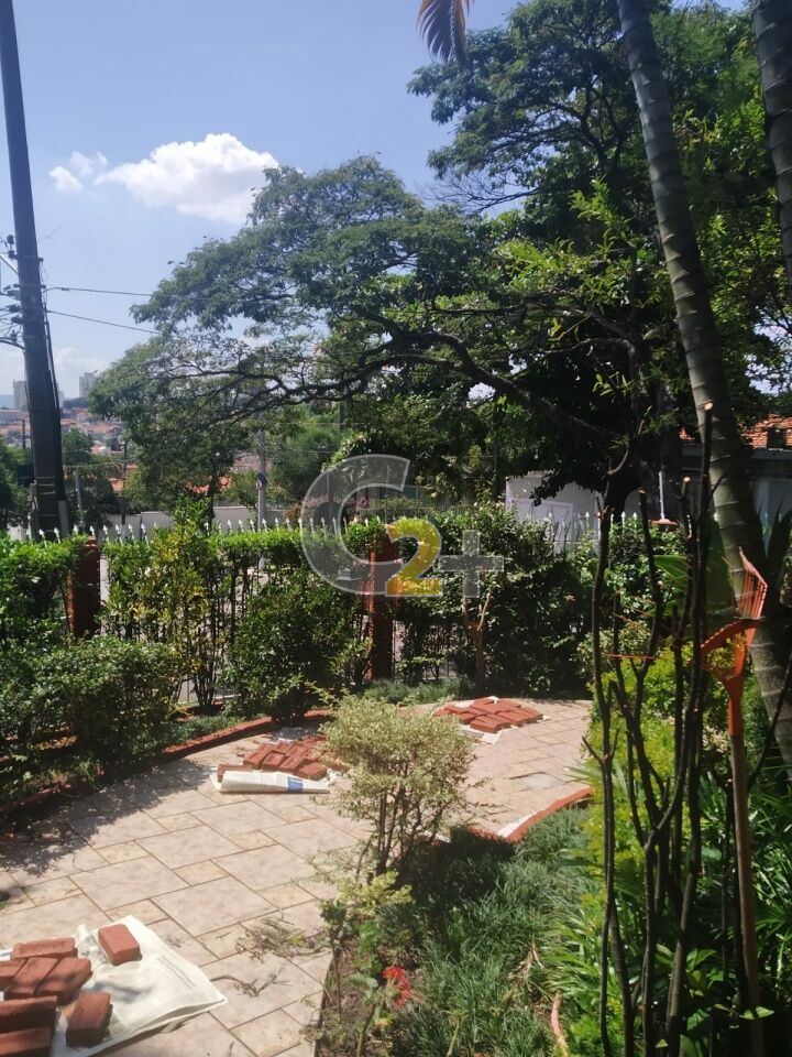 Foto 13 - CC43636