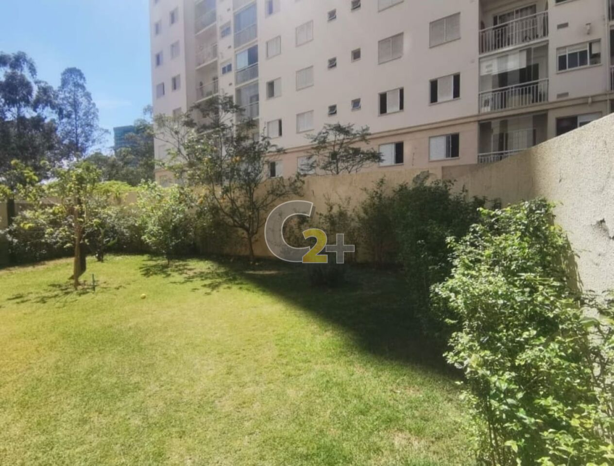 Foto 5 - CC45748