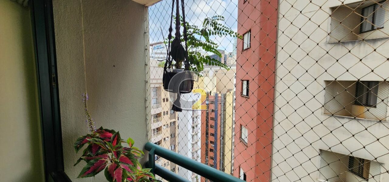 Foto 3 - CC45765