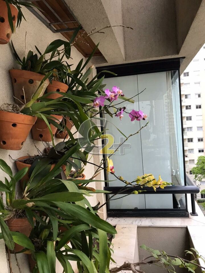 Foto 32 - CC47533