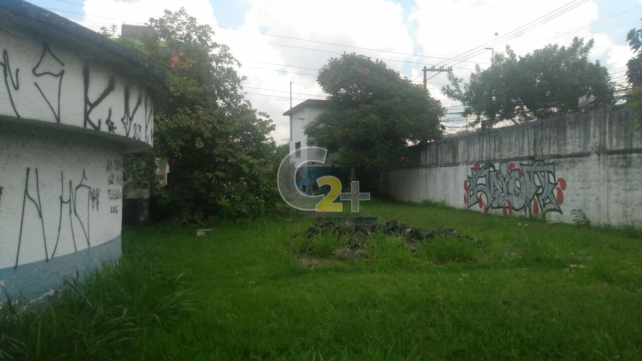 Terreno