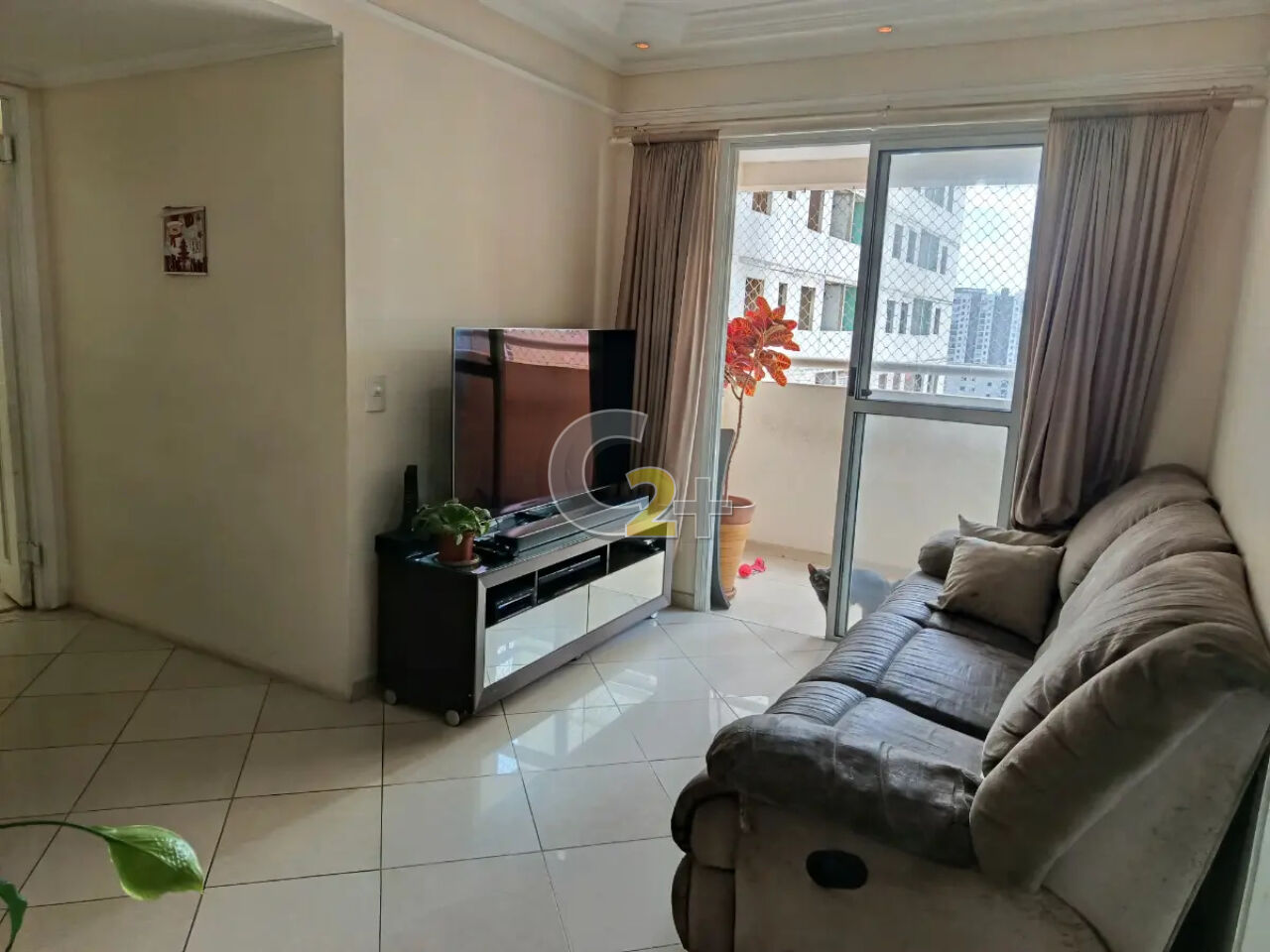 Foto 1 - CC47904
