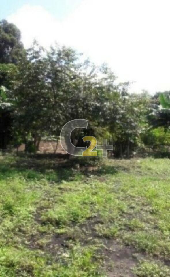 Foto 6 - CC50253