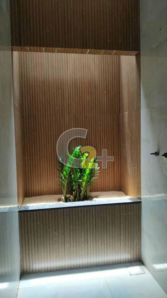 Foto 9 - CC50992