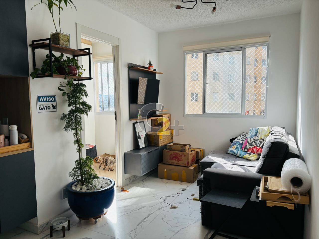 Foto 1 - CC55502