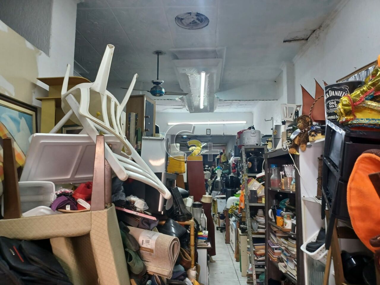 Foto 3 - CC55698