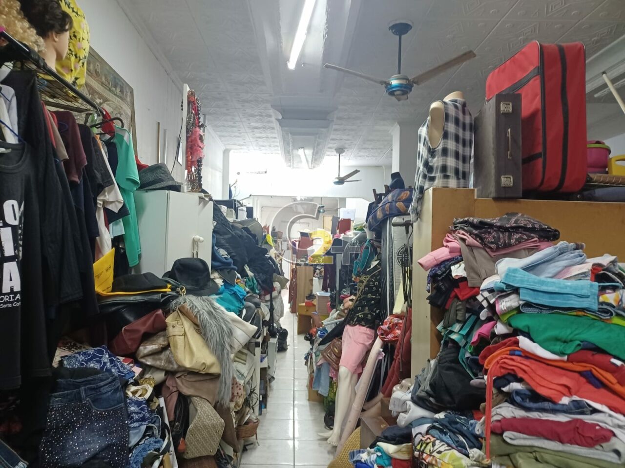 Foto 2 - CC55698