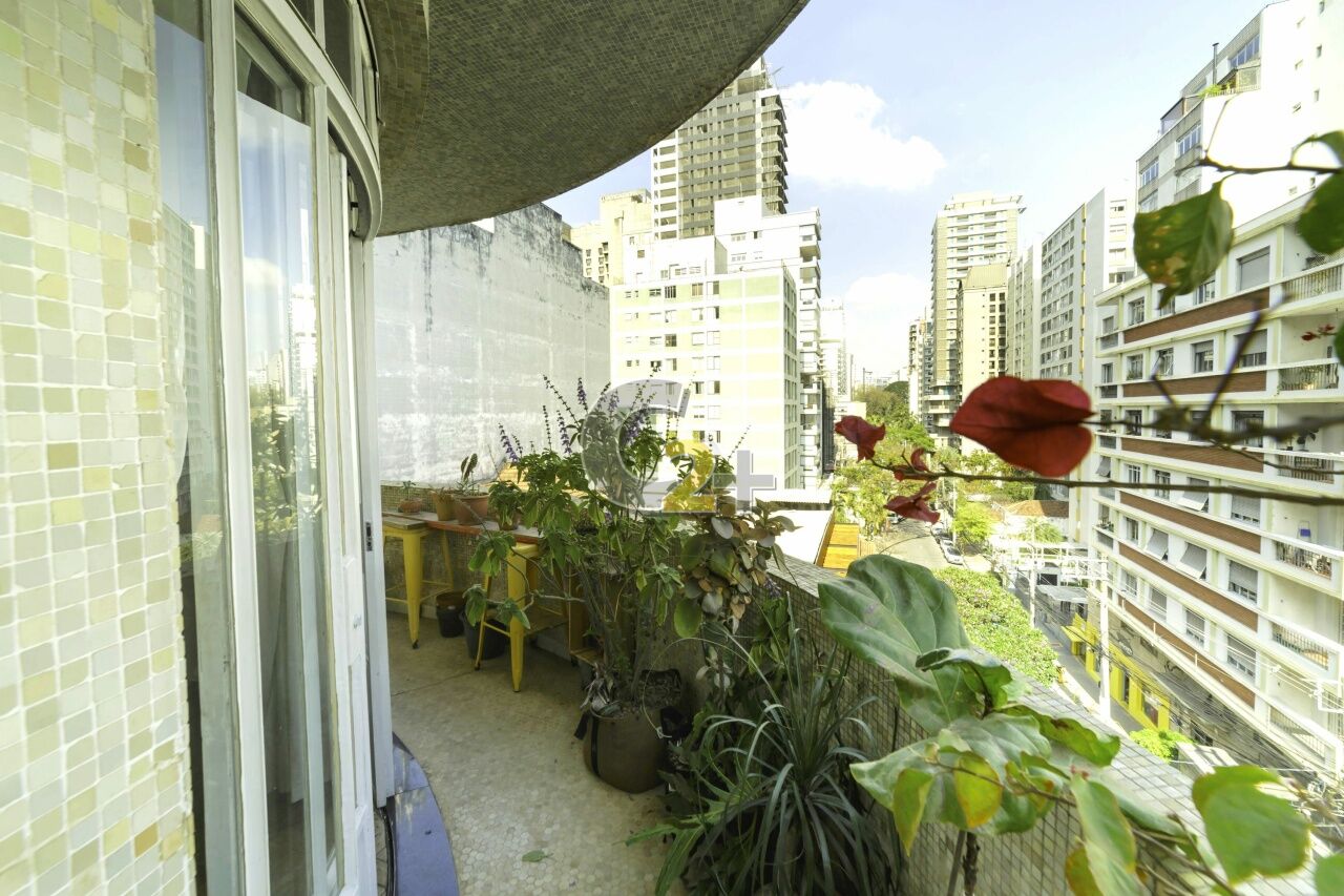 Foto 3 - CC55782