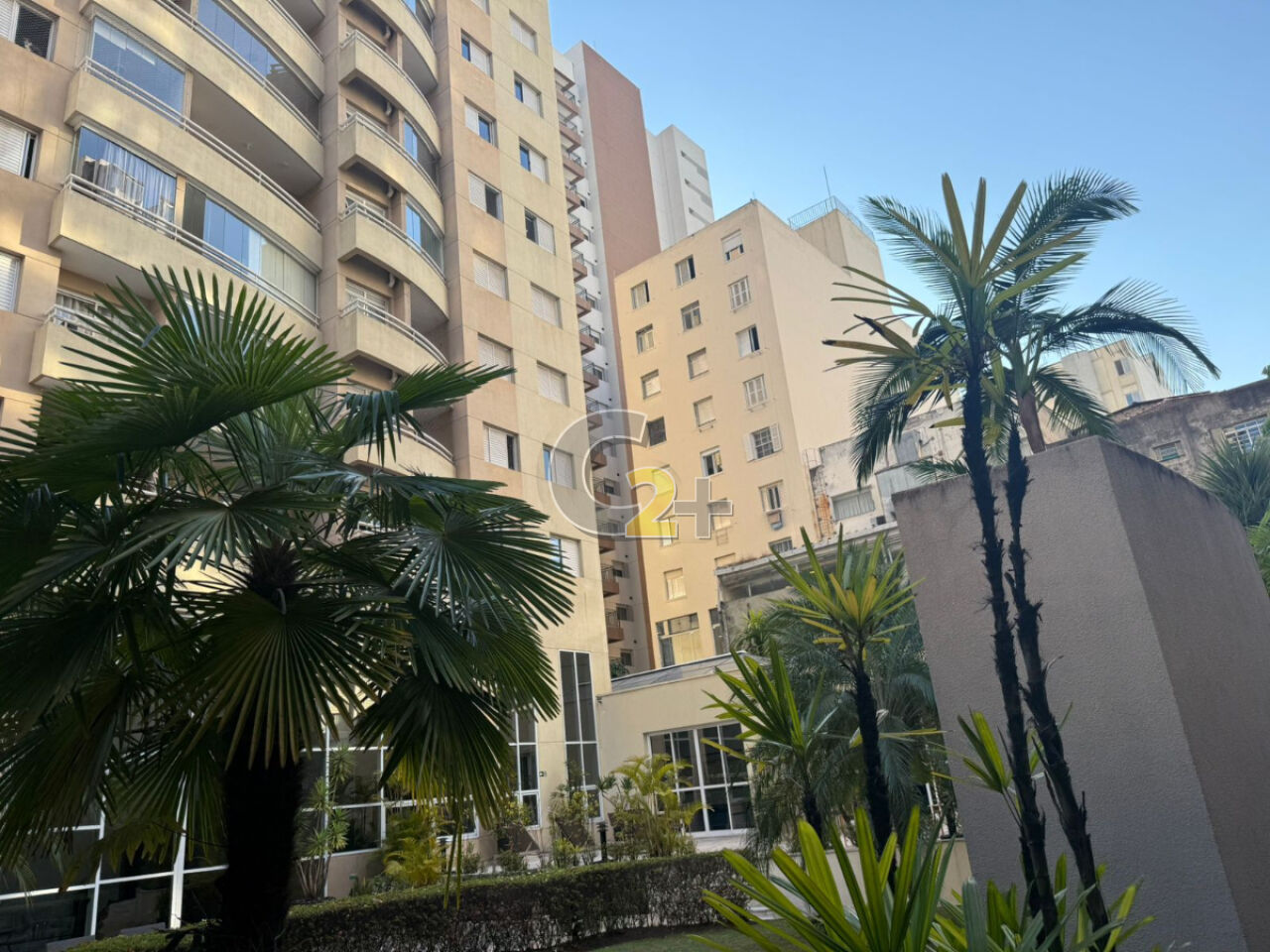 Foto 11 - CC57439